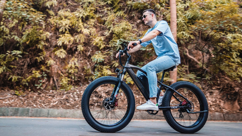 bicicletă electrică Lankeleisi